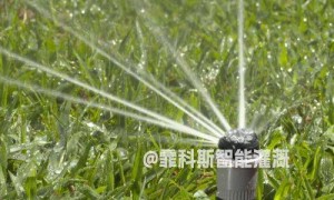 自动节水灌溉：科技助力农业与园林的节水革命